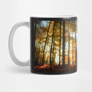 Beech Wood Grove Mug